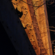 Illustration for article titled The Photo Gallery